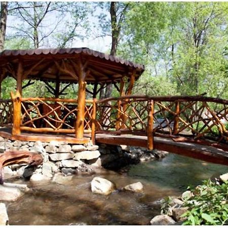 Pensiunea Pentru Tine Prietene Arcani Ngoại thất bức ảnh