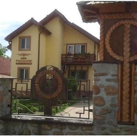 Pensiunea Pentru Tine Prietene Arcani Phòng bức ảnh