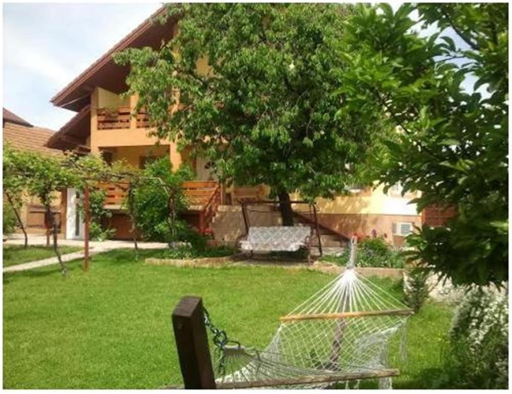 Pensiunea Pentru Tine Prietene Arcani Phòng bức ảnh